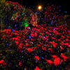 10 Laser projection lamp, red green blue outdoor courtyard garden atmosphere projection lamp