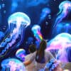 3D Starry Sky Projection Light | 60 HD Videos, Remote Control & White Noise |  festiveled.com